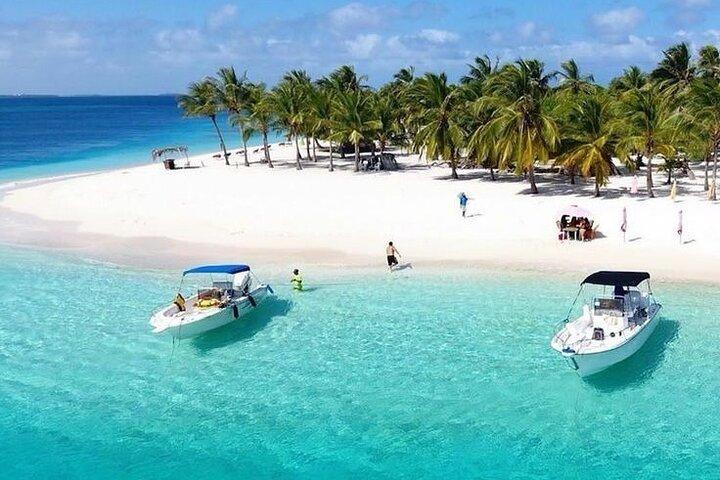 Viagem de um dia à Ilha Saona com comida, transporte e bebidas