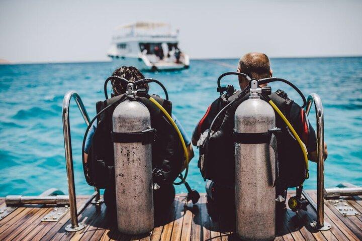 Immersioni dalla riva a Sharm El Sheikh nel Mar Rosso