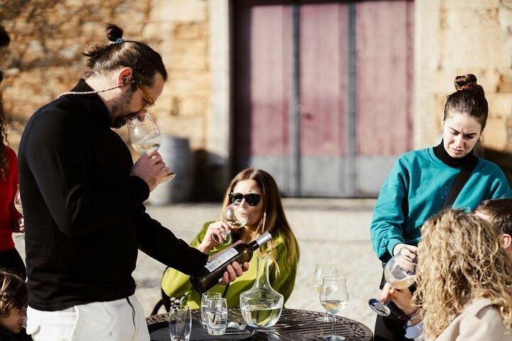 Porto: Dourovallei-tour met 2 wijnhuizen, lunch en cruise