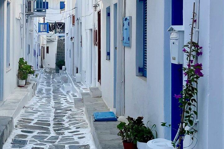 (5h) Santorini Discovery Private Tour–Oia, Dörfer & Black Beach