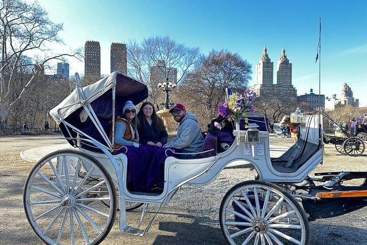 セントラルパークで忘れられない豪華な馬と馬車のツアー