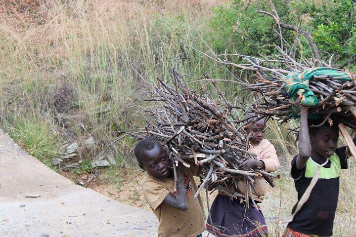Tour privato di più giorni nel Masai Mara