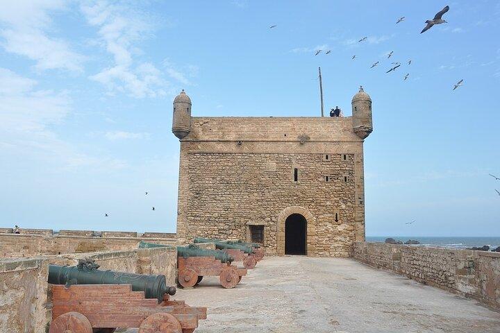 Full Day Trip To Essaouira Mogador From Marrakech