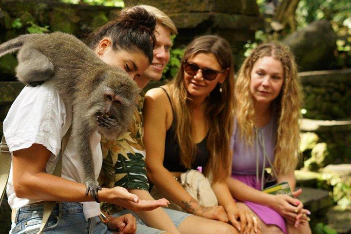 Ubud Private Customized Tour