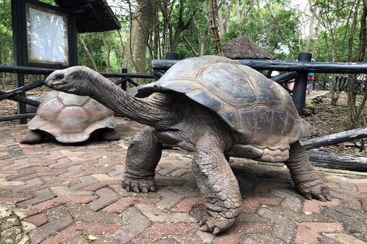 ナクペンダサンドバンクとプリズンアイランドボートツアー（ランチ付き）