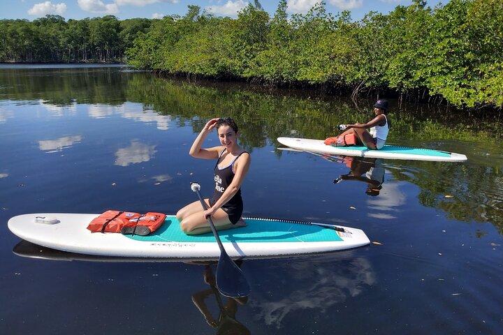 Miami kajak- og paddleboardudlejning i Virginia Key