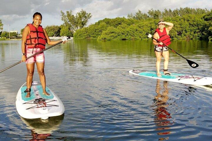 Miami kajak- og paddleboardudlejning i Virginia Key