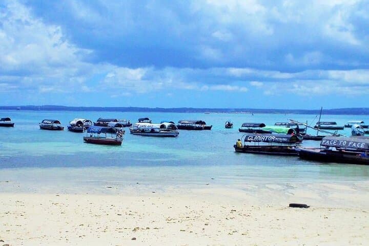 Zanzibar Prison Island Trip and Stone Town Private Walking Tour