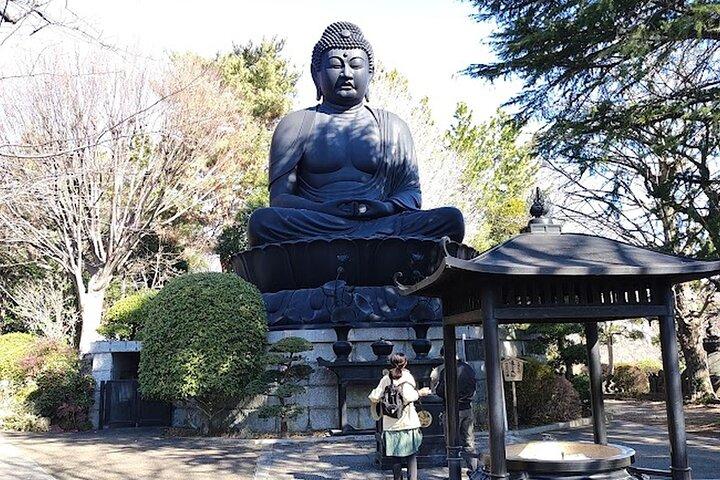 プライベートウォーキングツアー、東京大仏、植物園など