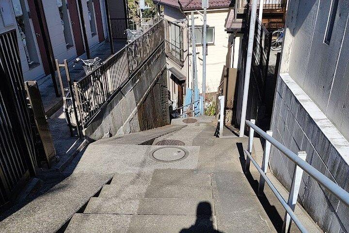 プライベートウォーキングツアー、東京大仏、植物園など