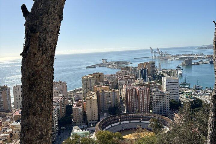 Destaques de Málaga em carro elétrico com embarque no porto