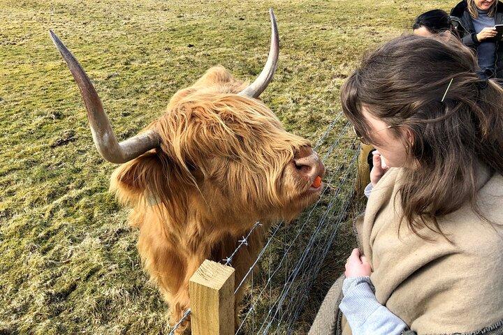 Gita di un giorno con esperienza a Loch Ness da Inverness