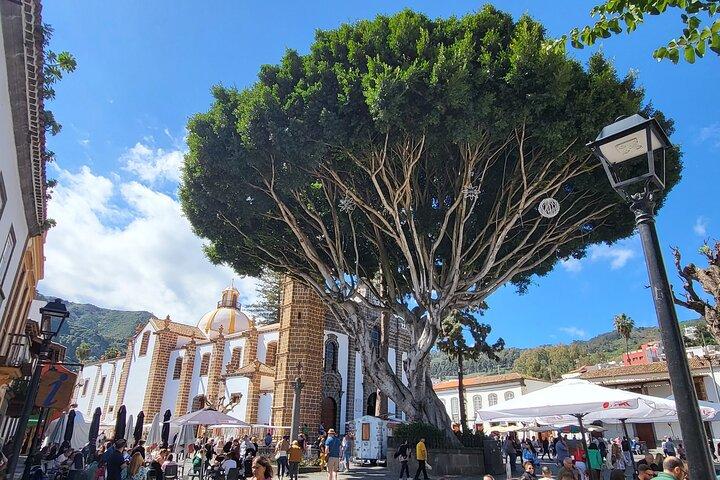 Tour privato da Las Palmas o dal sud a Teror, Firgas, Arucas