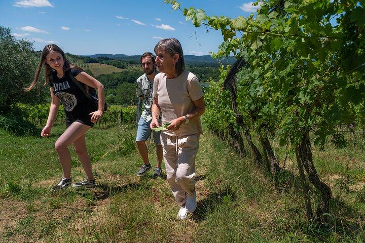 Visite guidée de caves et dégustation de vins à Sienne