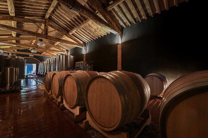 Visite guidée de caves et dégustation de vins à Sienne