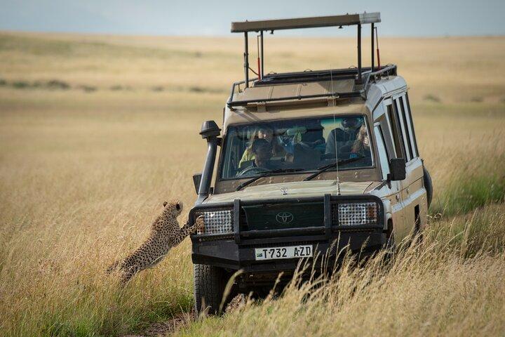 3-dagars privat campingsafari i Serengeti och Ngorongoro-kratern
