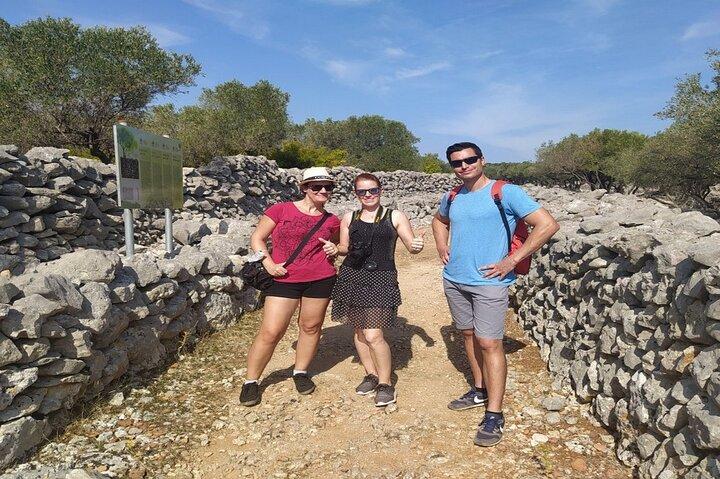 Tour de aceite de oliva para grupos pequeños en Cres con degustación