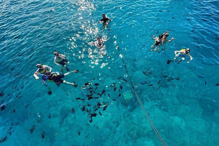 Waikiki: Small Group Turtle Canyon Snorkel Boat Tour