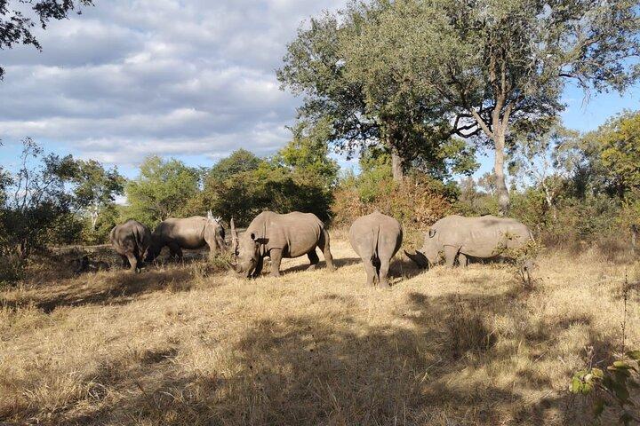 Game Drive e Rhino Safari a Livingstone