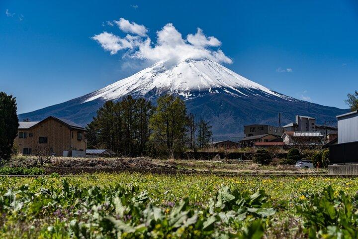 東京から富士山エリアの料理ほうとううどんツアー