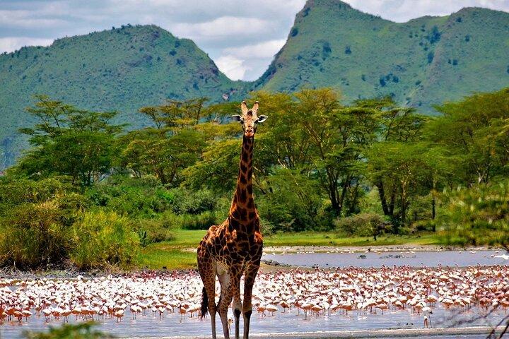 Tour preistorico di 2 giorni a Elemantaita, Soysambu e Kariandusi