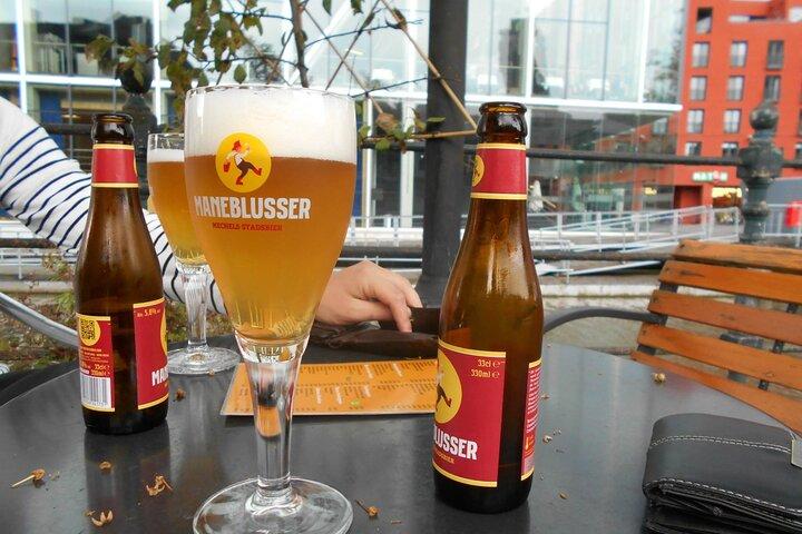 Privat 2-timers vandretur i Mechelen