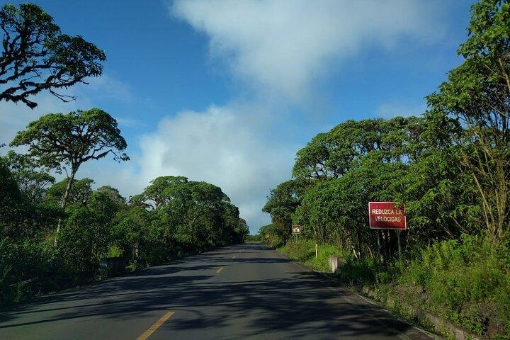 6 Days Galapagos Island Hopping Tour