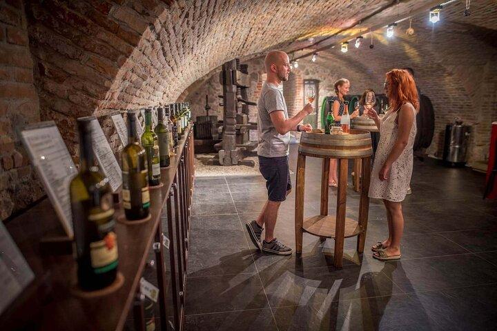 Devin Castle Tour med vinsmagning
