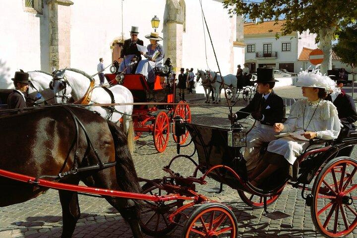 De Lisbonne : Visite privée de la capitale des chevaux lusitaniens