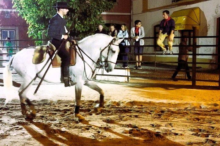 De Lisbonne : Visite privée de la capitale des chevaux lusitaniens