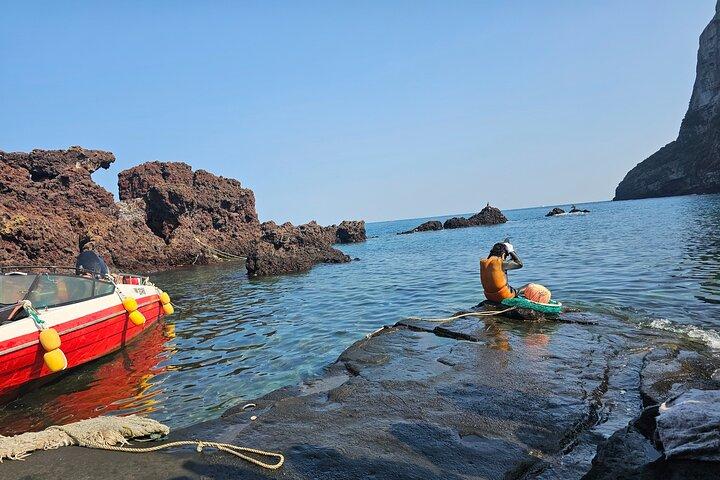 Øst for jeju-tur for Seogwipo Gangjeong-krydstogtkunder