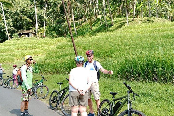 ジャティルウィの詳細 (棚田での 1 時間の電動自転車ツアー)