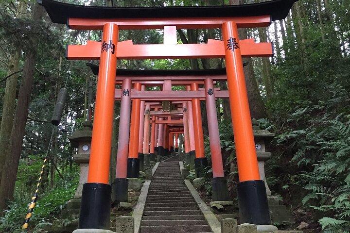 【Santuario Fushimi Inari】 Un local nacido en Kioto comparte el camino secreto de los turistas