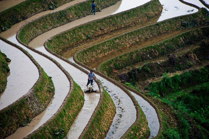 Guilin: excursão privada de um dia aos terraços de arroz e vilas de Longji