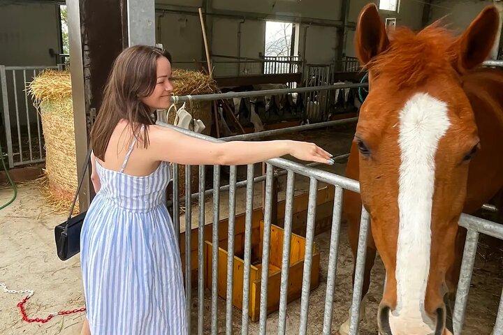 FARM STAY EXPERIENCE & DOZZA - Excursion privée d'une journée au départ de Bologne