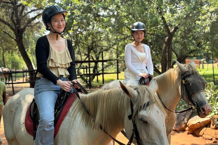 Exhilarating Horseback Safari from Johannesburg