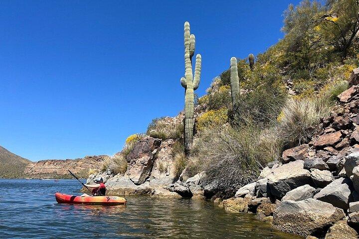 Kayaking 3 Std Canyon & Cliffside auf Saguaro Lake