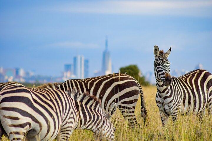 Frühmorgendliche Tour zum Nairobi-Nationalpark
