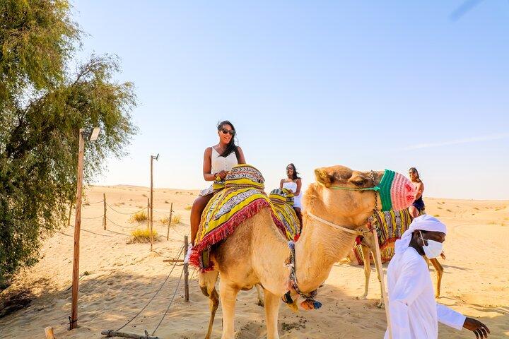 Dubai Sunset Camel Ride & BBQ Middag på Al Khayma Camp