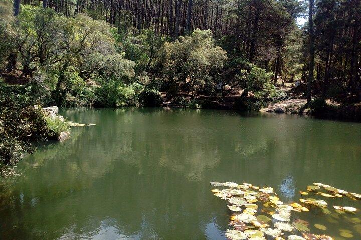 Private Tour Sintra-Queluz-Cabo da Roca-Cascais e Riviera Portuguesa de Lisboa