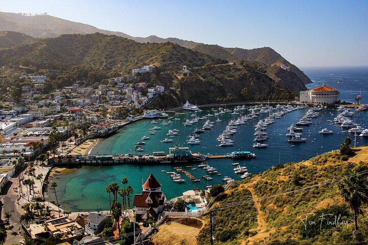 Catalina Island Private 2 - Uur Tour van Avalon