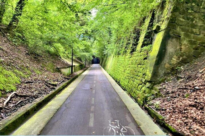 無料のピンチョスとドリンク付きのサン セバスティアン自転車ツアー!