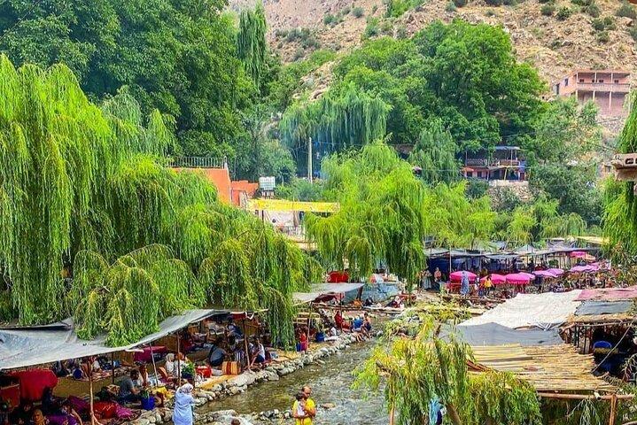 Ourika Valley Day Tour from Marrakech