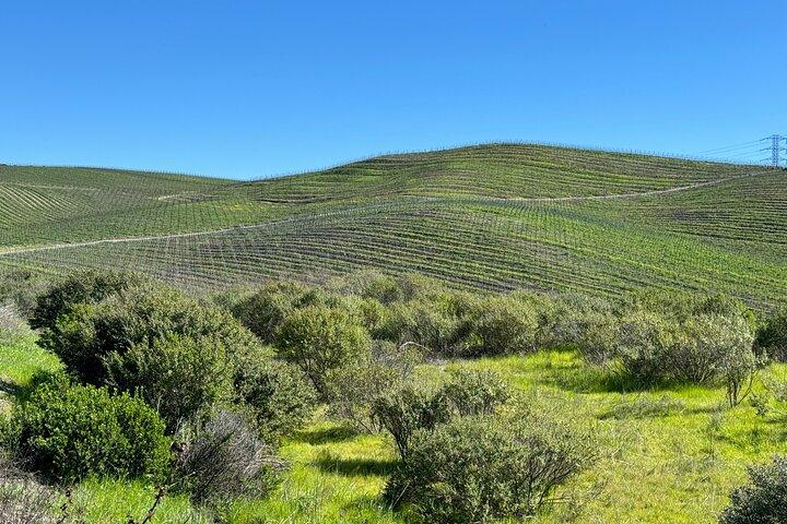 Healdsburg Tour del vino di 6 ore con SUV di lusso - Posti fino a 4