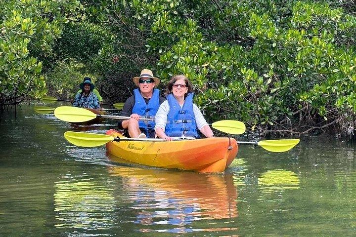 Robinson Preserve Mangrove Tour