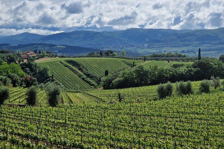 Privé wijntour Toscane halve dag Limousineservice Florence