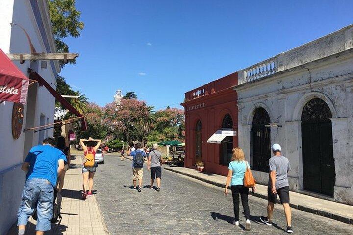コロニア デル サクラメント小グループ日帰り旅行