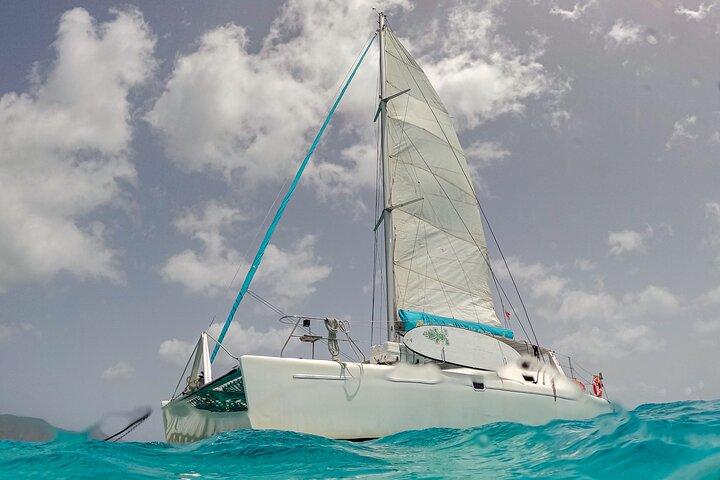 Jost Van Dyke - Sandy Spit & Soggy Dollar Segeltour im BVI
