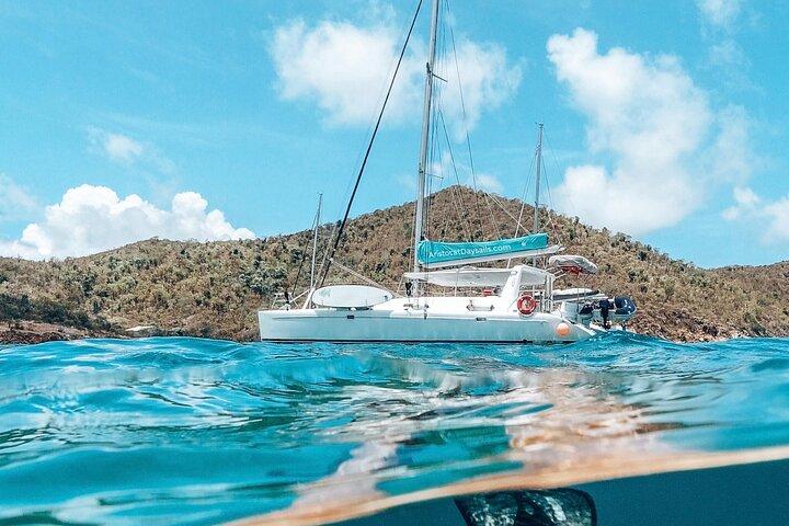 Jost Van Dyke - Sandy Spit & Soggy Dollar Segeltour im BVI