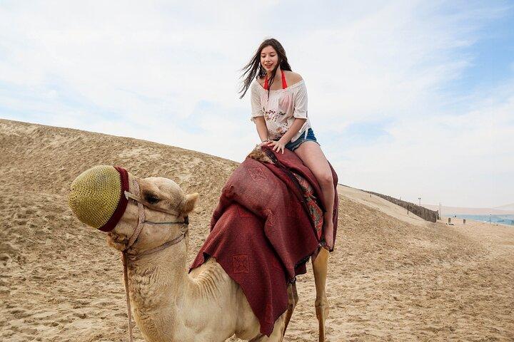 Camel ride & Quad cykel Erfaring i sandstrand Qatar